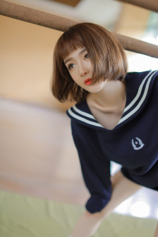 1V2高HP系统